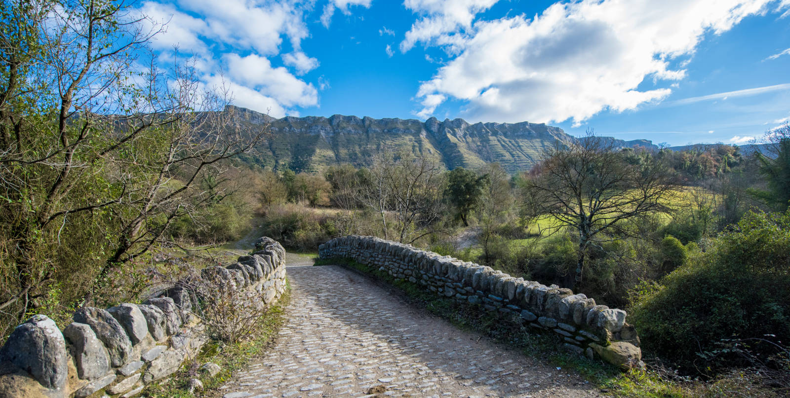 Ruta cercana